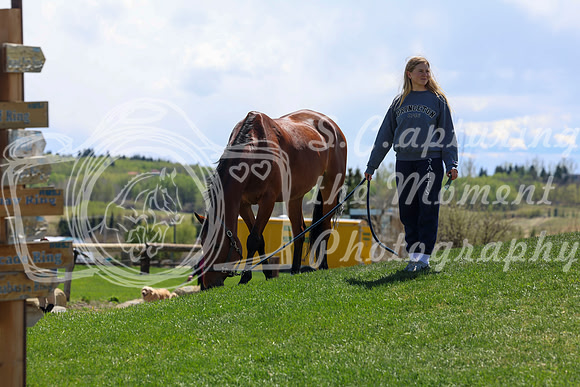 2026 - Shea - Bow Valley II - Friday May 15th - 08256