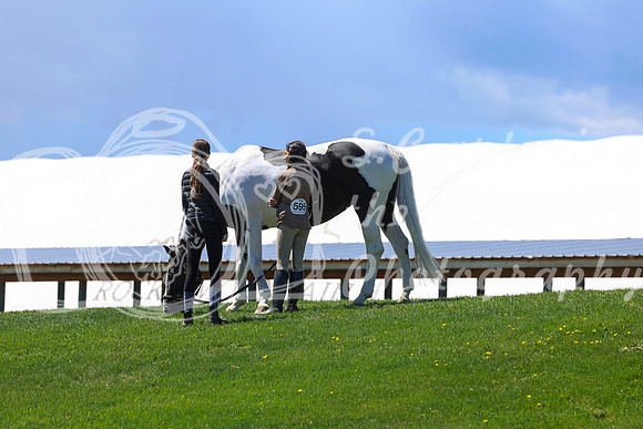 2026 - Shea - Bow Valley II - Friday May 15th - 08261