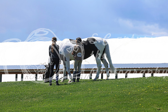 2026 - Shea - Bow Valley II - Friday May 15th - 08262
