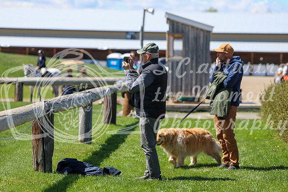 2026 - Shea - Bow Valley II - Friday May 15th - 08370