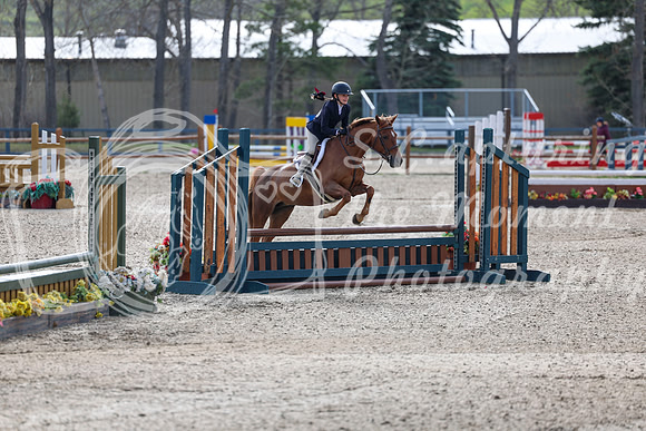 2026 - Shea - Bow Valley II - Friday May 15th - 02778