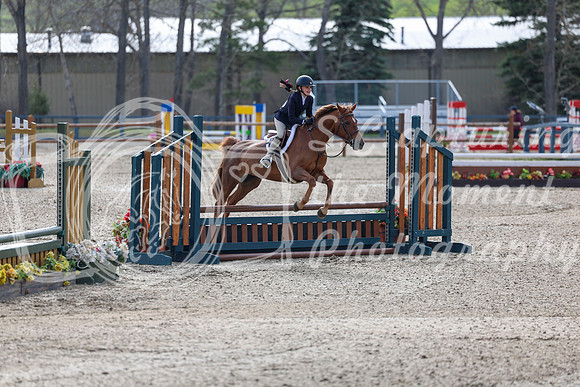 2026 - Shea - Bow Valley II - Friday May 15th - 02780