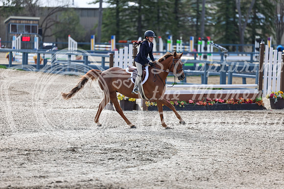 2026 - Shea - Bow Valley II - Friday May 15th - 02785