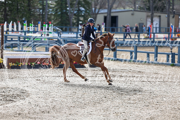 2026 - Shea - Bow Valley II - Friday May 15th - 02787