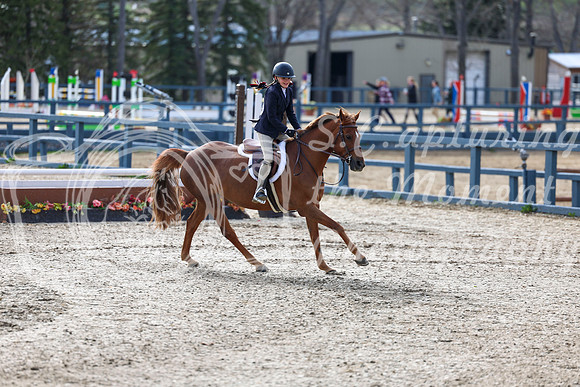 2026 - Shea - Bow Valley II - Friday May 15th - 02788