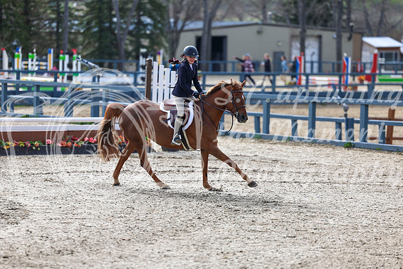 2026 - Shea - Bow Valley II - Friday May 15th - 02789