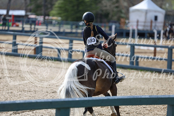 2026 - Shea - Bow Valley II - Friday May 15th - 02878
