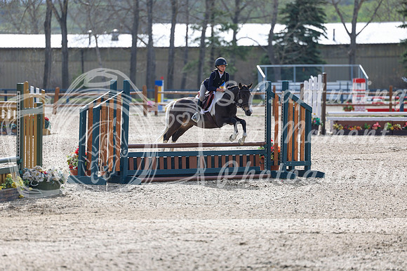 2026 - Shea - Bow Valley II - Friday May 15th - 02883