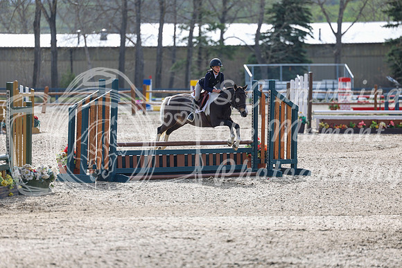 2026 - Shea - Bow Valley II - Friday May 15th - 02884
