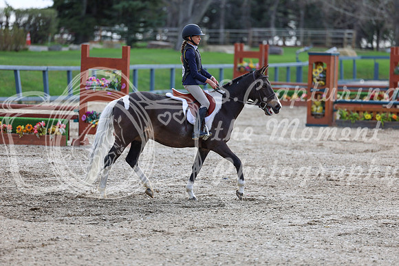 2026 - Shea - Bow Valley II - Friday May 15th - 03188