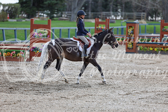 2026 - Shea - Bow Valley II - Friday May 15th - 03189