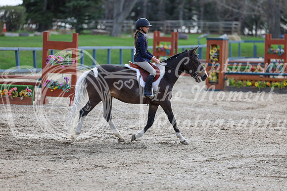 2026 - Shea - Bow Valley II - Friday May 15th - 03191