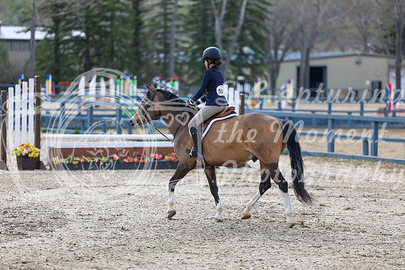 2026 - Shea - Bow Valley II - Friday May 15th - 03066
