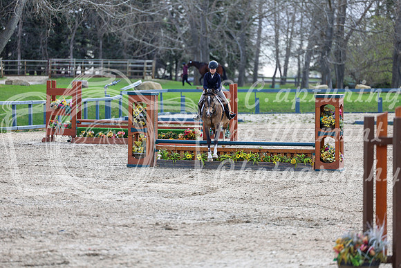 2026 - Shea - Bow Valley II - Friday May 15th - 03077