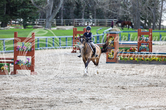 2026 - Shea - Bow Valley II - Friday May 15th - 03084