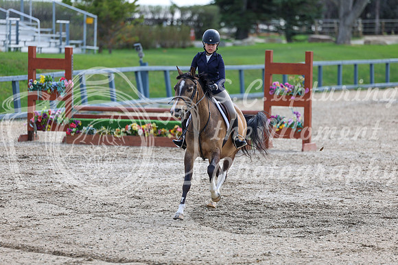 2026 - Shea - Bow Valley II - Friday May 15th - 03086