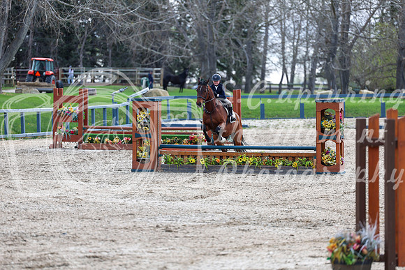 2026 - Shea - Bow Valley II - Friday May 15th - 03271