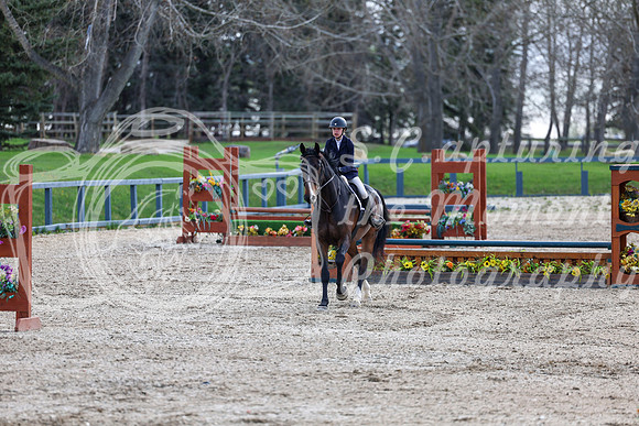 2026 - Shea - Bow Valley II - Friday May 15th - 03206