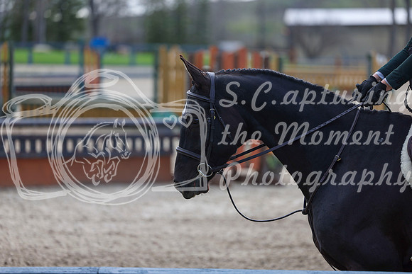 2026 - Shea - Bow Valley II - Friday May 15th - 03574