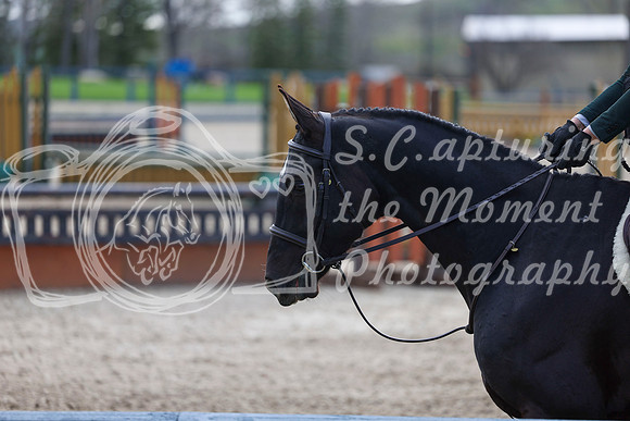 2026 - Shea - Bow Valley II - Friday May 15th - 03575