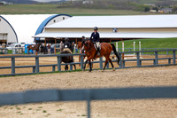 2026 - Shea - Bow Valley II - Friday May 15th - 04639