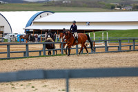 2026 - Shea - Bow Valley II - Friday May 15th - 04638