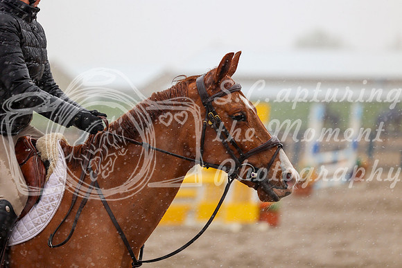 2026 - Mara - Bow Valley II - Saturday May 16th - 02101