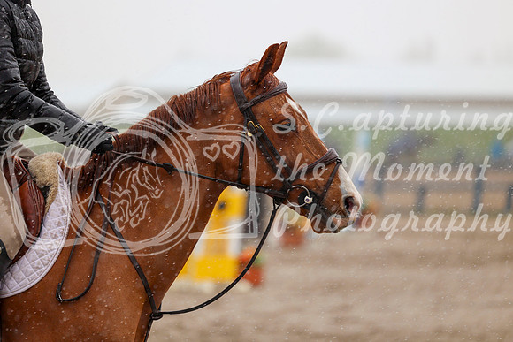 2026 - Mara - Bow Valley II - Saturday May 16th - 02102