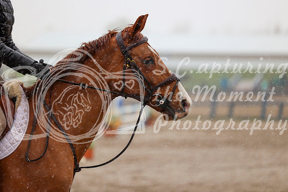 2026 - Mara - Bow Valley II - Saturday May 16th - 02103