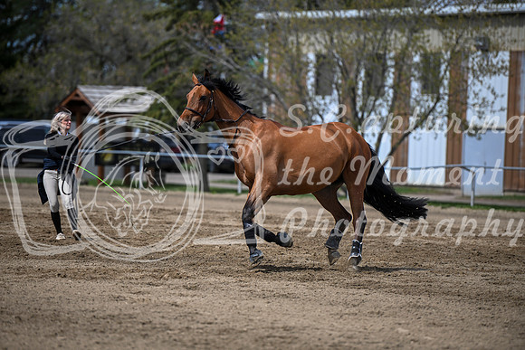 2026 - Brittany - Blue Sky Classic - Friday May 15th - 01477