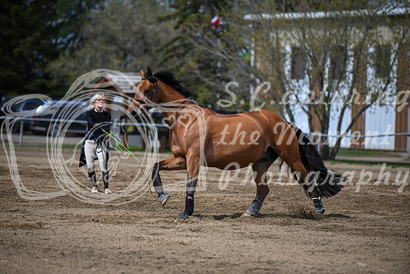 2026 - Brittany - Blue Sky Classic - Friday May 15th - 01480