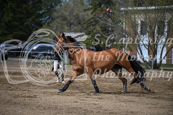 2026 - Brittany - Blue Sky Classic - Friday May 15th - 01482