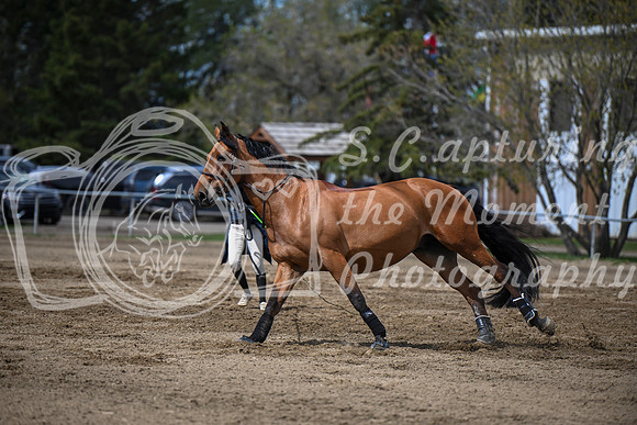 2026 - Brittany - Blue Sky Classic - Friday May 15th - 01483