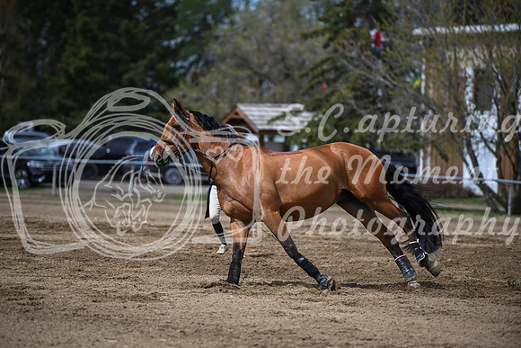 2026 - Brittany - Blue Sky Classic - Friday May 15th - 01484