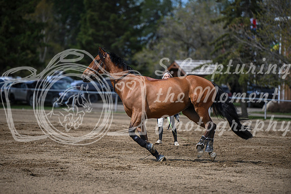 2026 - Brittany - Blue Sky Classic - Friday May 15th - 01487