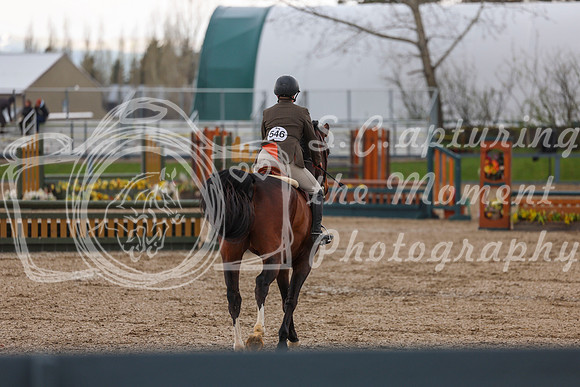 2026 - Shea - Bow Valley II - Sunday May 17th - 02468