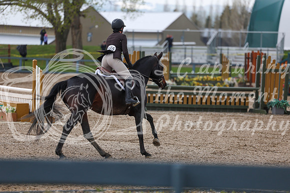2026 - Shea - Bow Valley II - Sunday May 17th - 02416