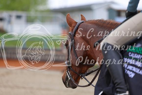 2026 - Shea - Bow Valley II - Sunday May 17th - 02870