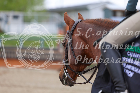 2026 - Shea - Bow Valley II - Sunday May 17th - 02869