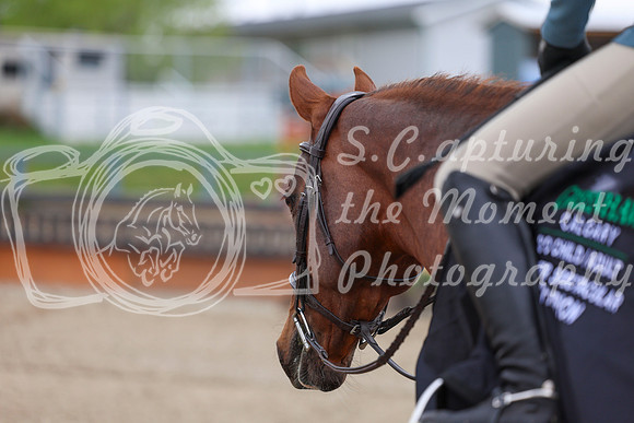 2026 - Shea - Bow Valley II - Sunday May 17th - 02872