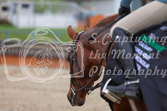 2026 - Shea - Bow Valley II - Sunday May 17th - 02874