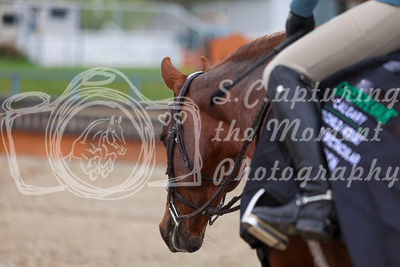 2026 - Shea - Bow Valley II - Sunday May 17th - 02873