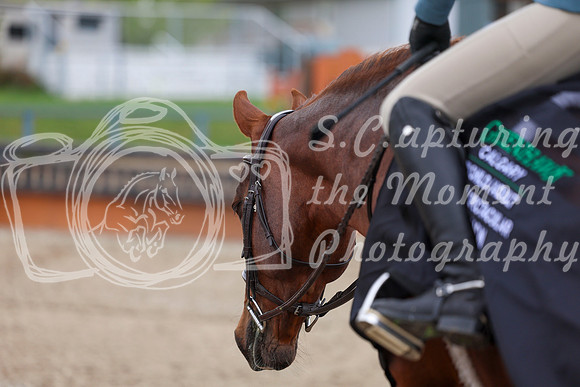 2026 - Shea - Bow Valley II - Sunday May 17th - 02875