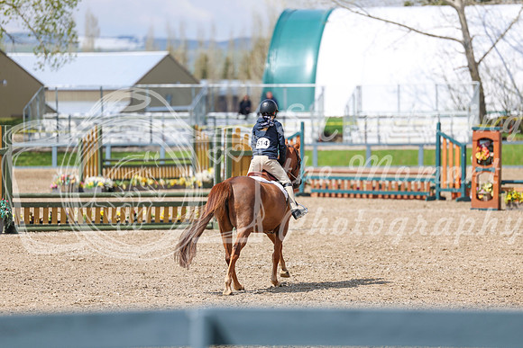 2026 - Shea - Bow Valley II - Sunday May 17th - 03451