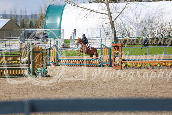 2026 - Shea - Bow Valley II - Sunday May 17th - 03694