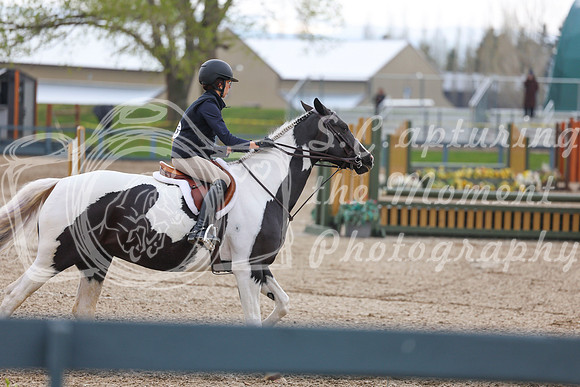 2026 - Shea - Bow Valley II - Sunday May 17th - 02212