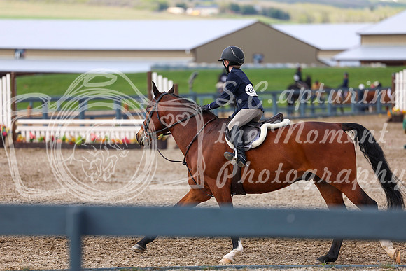 2026 - Shea - Bow Valley II - Sunday May 17th - 03549