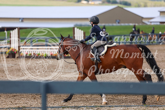 2026 - Shea - Bow Valley II - Sunday May 17th - 03551