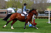 2026 - Shea - Bow Valley II - Sunday May 17th - 08285