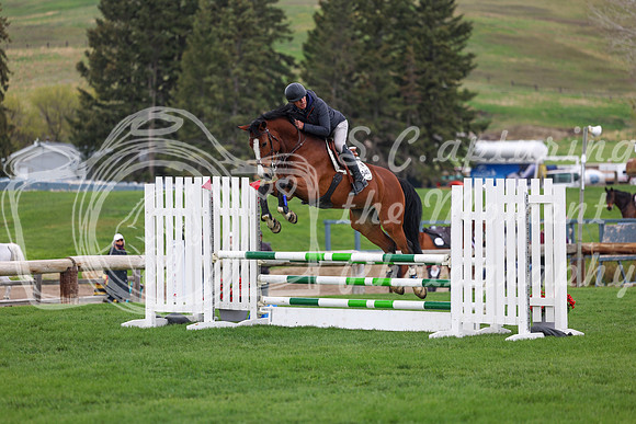 2026 - Shea - Bow Valley II - Sunday May 17th - 07702